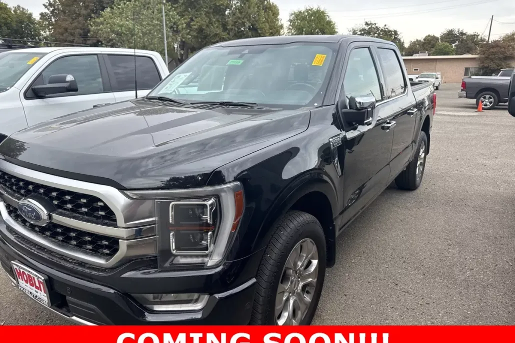 2022 Ford F-150 Platinum photo 1