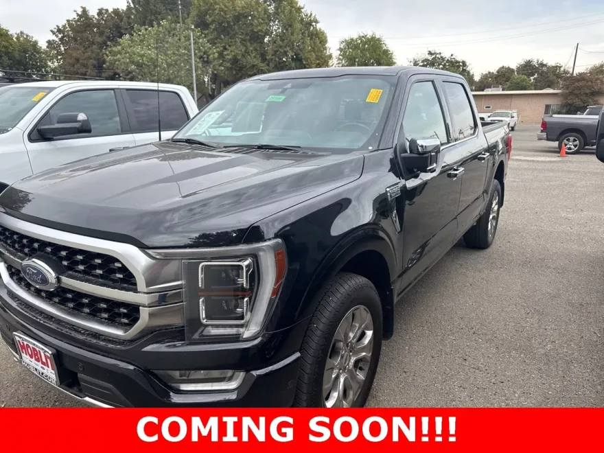 2022 Ford F-150 Platinum photo 1