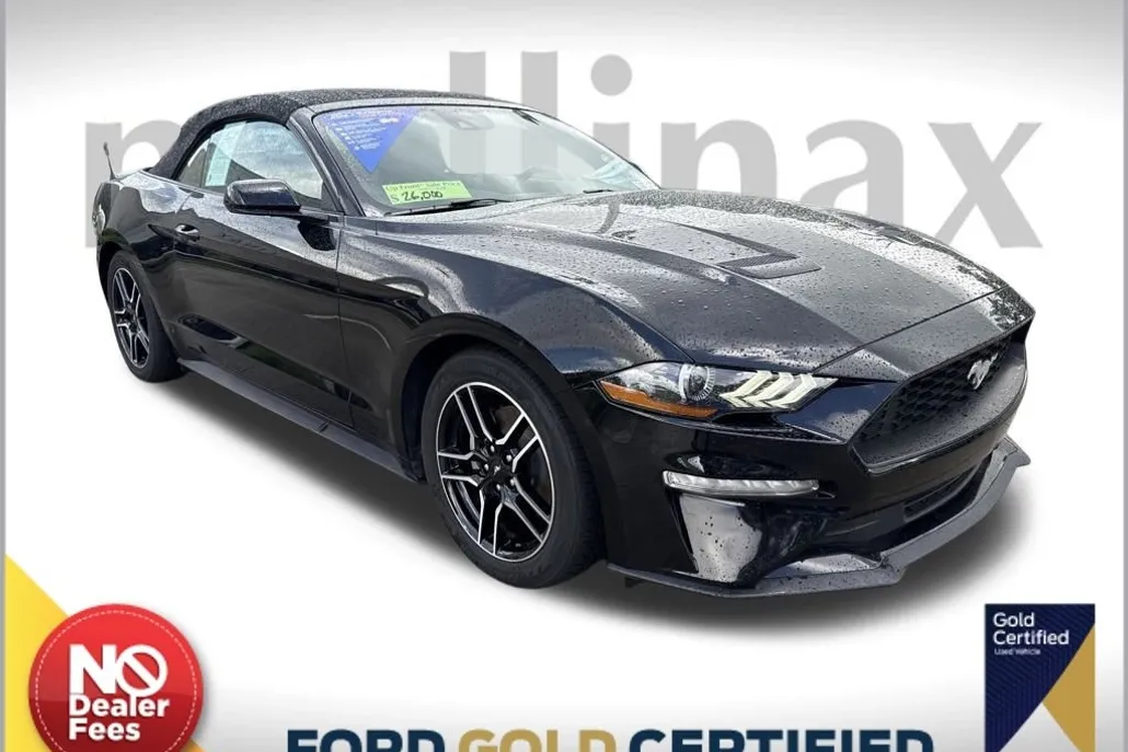2023 Ford Mustang EcoBoost Premium photo 1