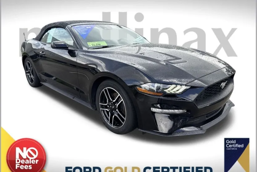 2023 Ford Mustang EcoBoost Premium photo 1