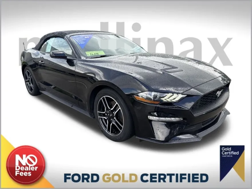 2023 Ford Mustang EcoBoost Premium photo 1