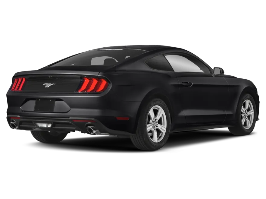 2019 Ford Mustang EcoBoost Premium photo 2