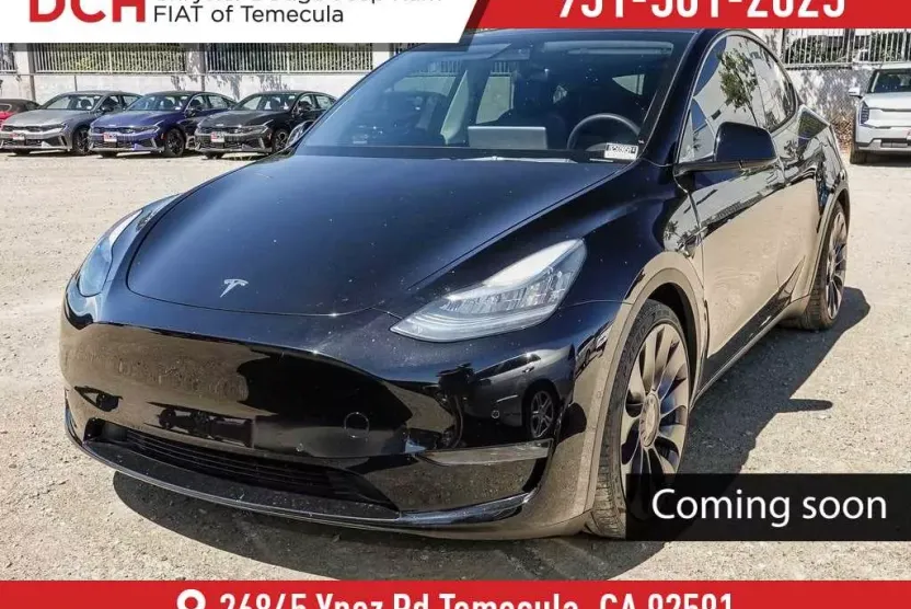 2021 Tesla Model Y Performance photo 1