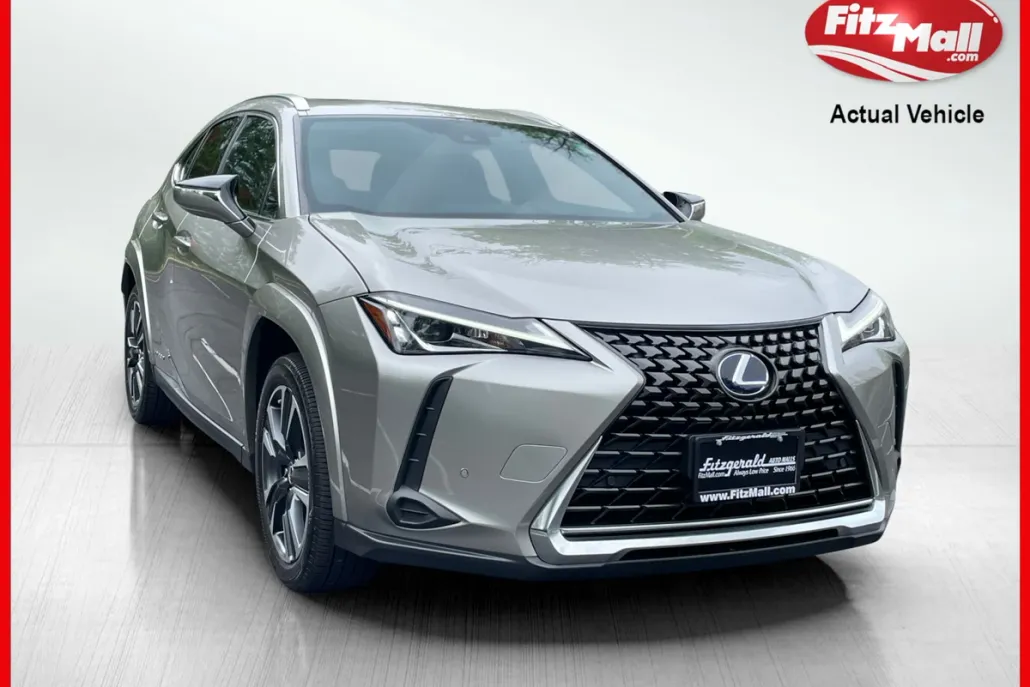 2022 Lexus UX 250h photo 1