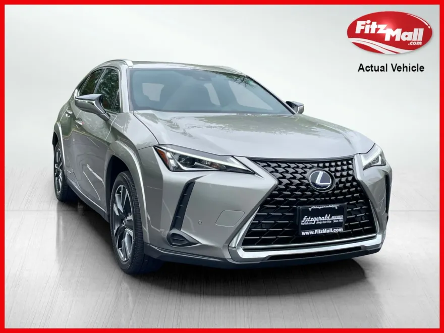 2022 Lexus UX 250h photo 1