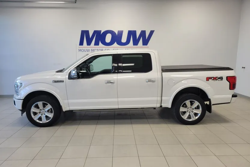 2018 Ford F-150 Platinum photo 1