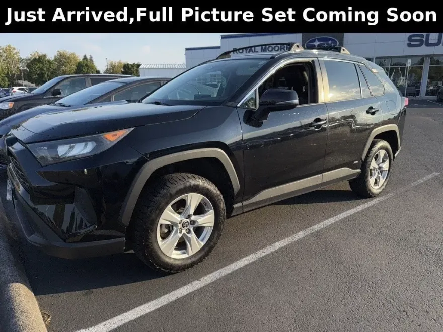2019 Toyota RAV4 Hybrid LE photo 1