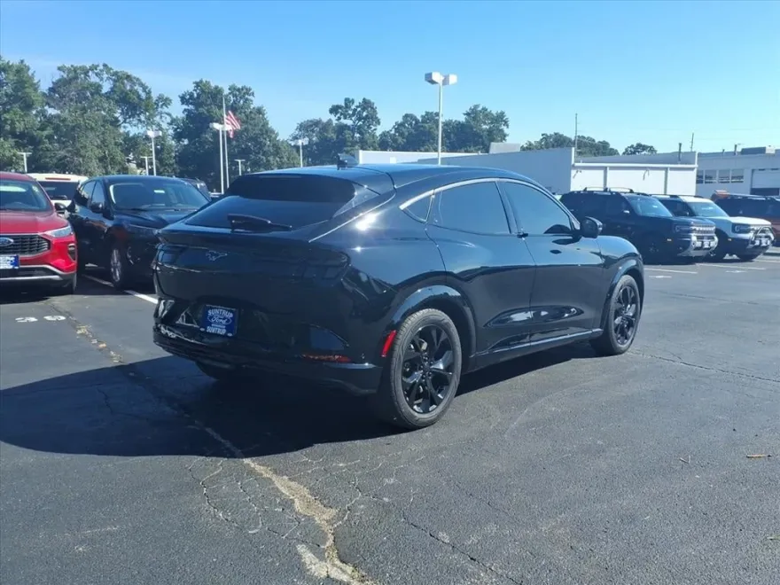 2021 Ford Mustang Mach-E Premium photo 1