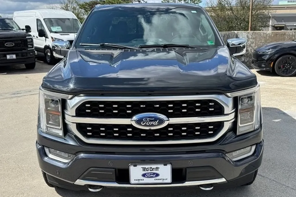 2021 Ford F-150 Platinum photo 1