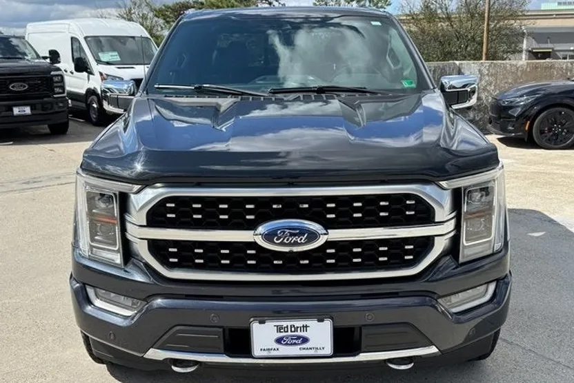 2021 Ford F-150 Platinum photo 1