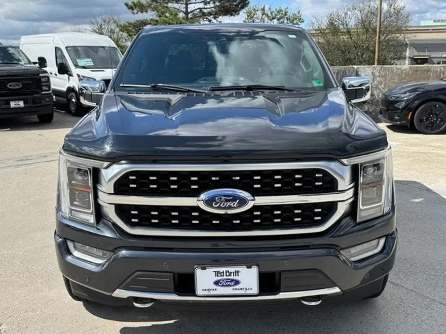 2021 Ford F-150 Platinum photo 1