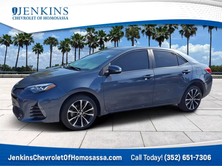 2019 Toyota Corolla L photo 1