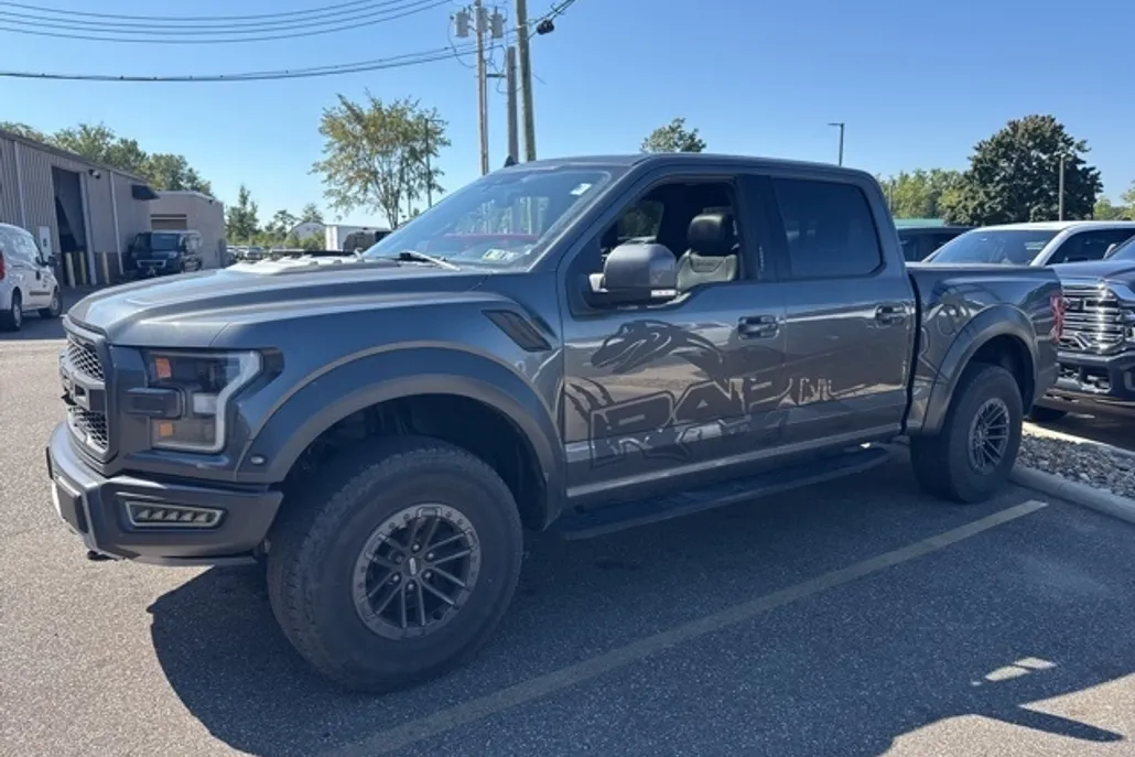 2019 Ford F-150 Raptor photo 1