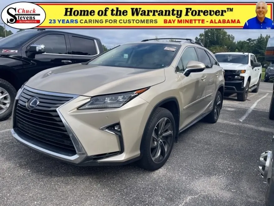 2019 Lexus RX 450hL Luxury photo 1