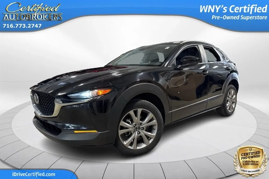 2019 Lexus NX 300 Luxury photo 1