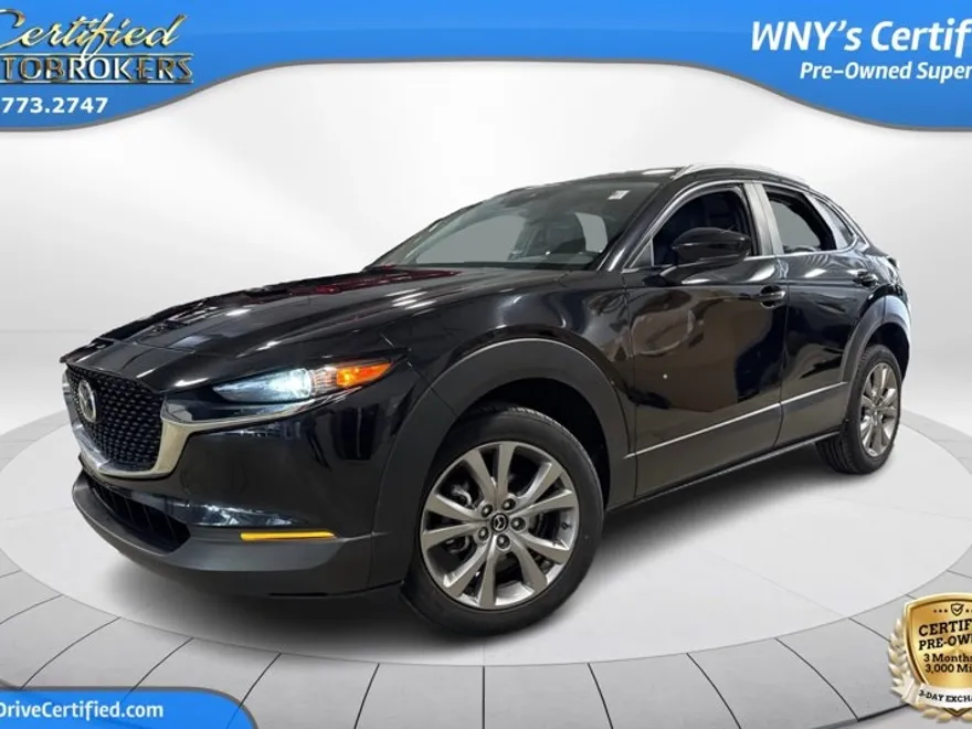 2019 Lexus NX 300 Luxury photo 1