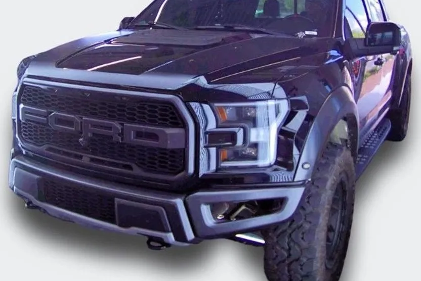 2017 Ford F-150 Raptor photo 1