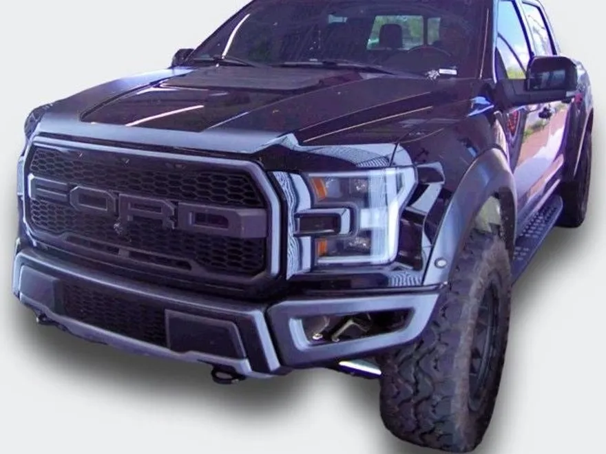 2017 Ford F-150 Raptor photo 1