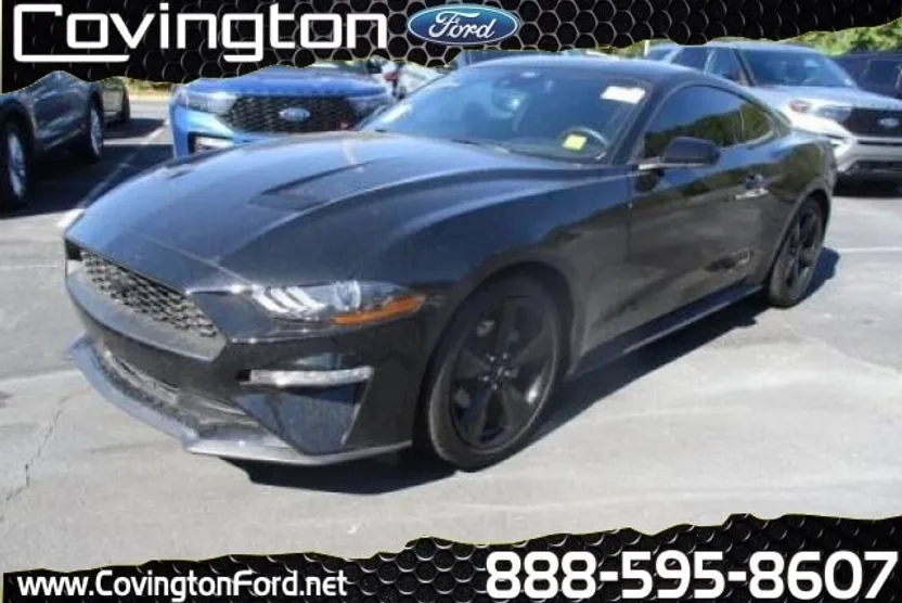 2022 Ford Mustang photo 1