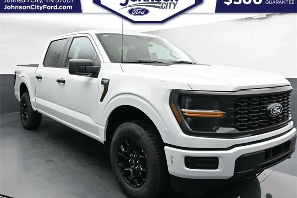 2025 Ford F-150 STX photo 1
