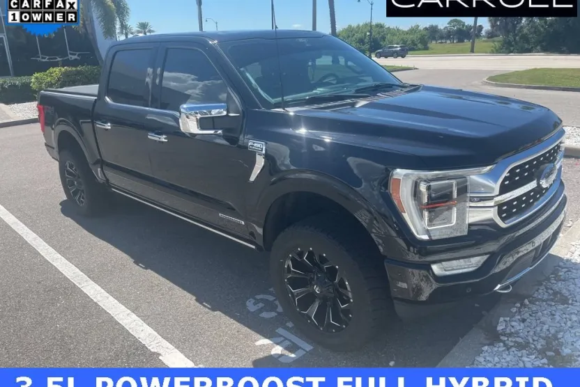 2021 Ford F-150 Platinum photo 1