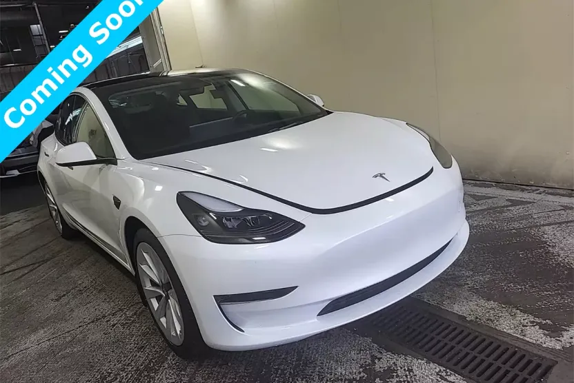 2023 Tesla Model 3 photo 1
