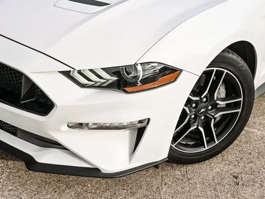 2021 Ford Mustang GT Premium photo 1
