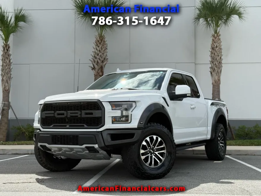2019 Ford F-150 Raptor photo 1