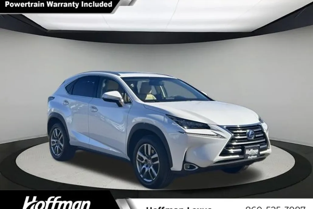 2015 Lexus NX 300h Luxury photo 1
