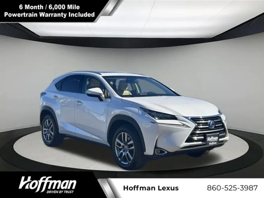 2015 Lexus NX 300h Luxury photo 1