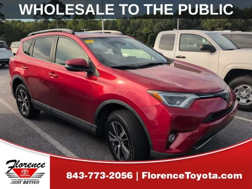 2017 Toyota RAV4 XLE photo 1