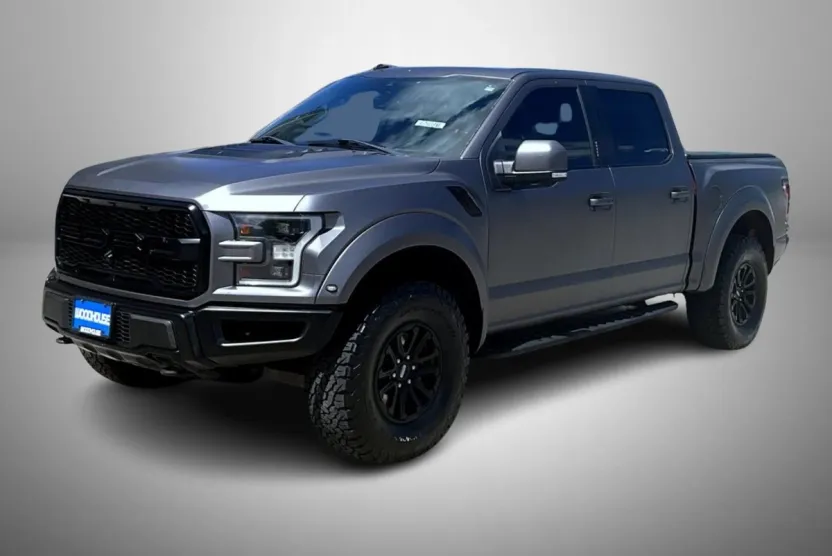 2019 Ford F-150 Raptor photo 1