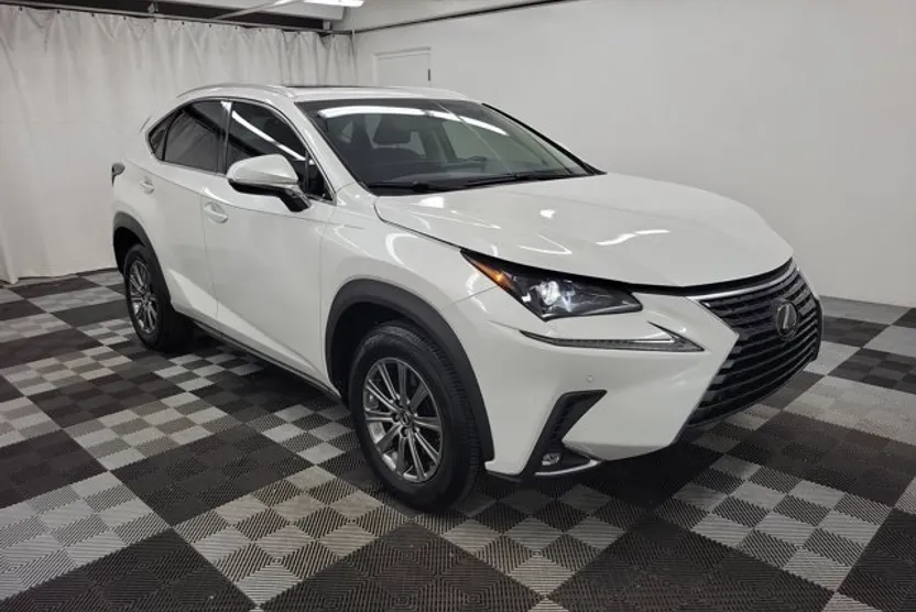 2019 Lexus NX 300 Luxury photo 1