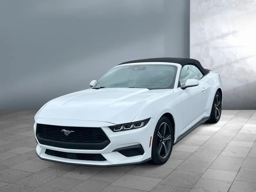 2024 Ford Mustang EcoBoost Premium Convertible photo 1