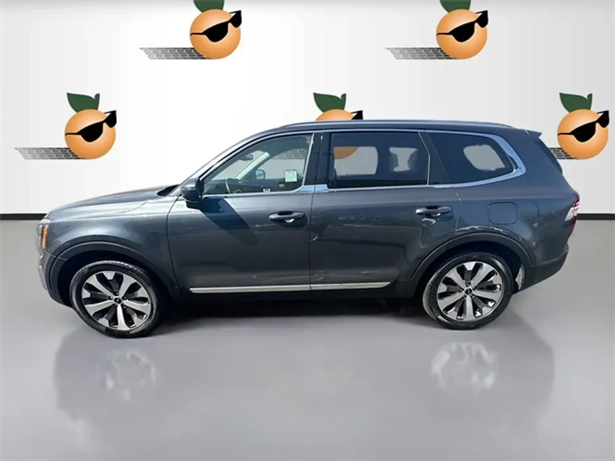 2022 Kia Telluride EX photo 1