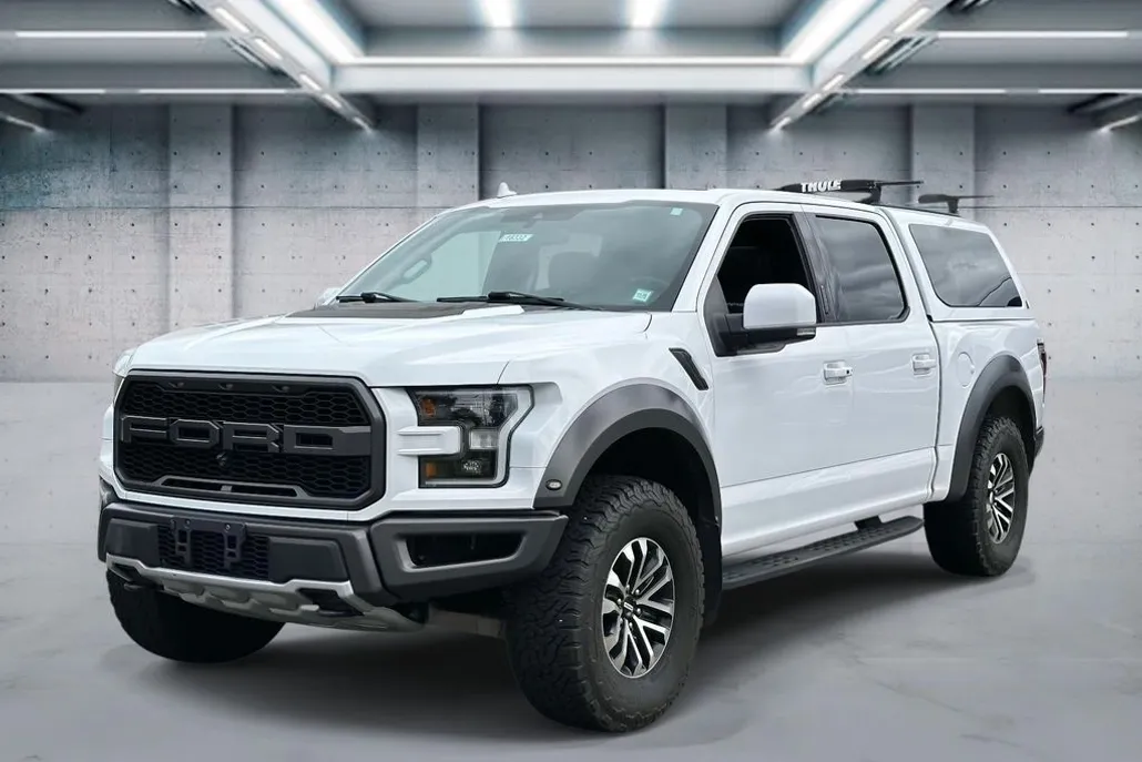 2020 Ford F-150 Raptor photo 1