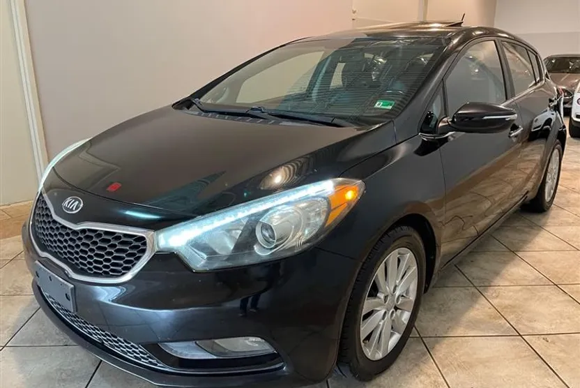 2015 Kia Forte 5-Door EX photo 1