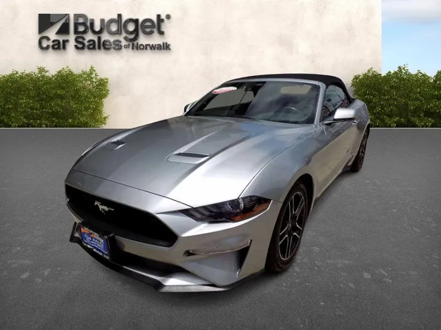 2023 Ford Mustang Premium photo 1