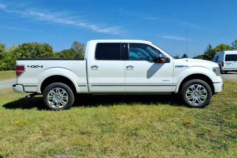 2014 Ford F-150 Platinum photo 1
