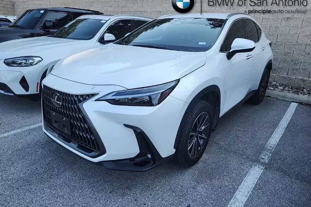 2024 Lexus NX 250 photo 1