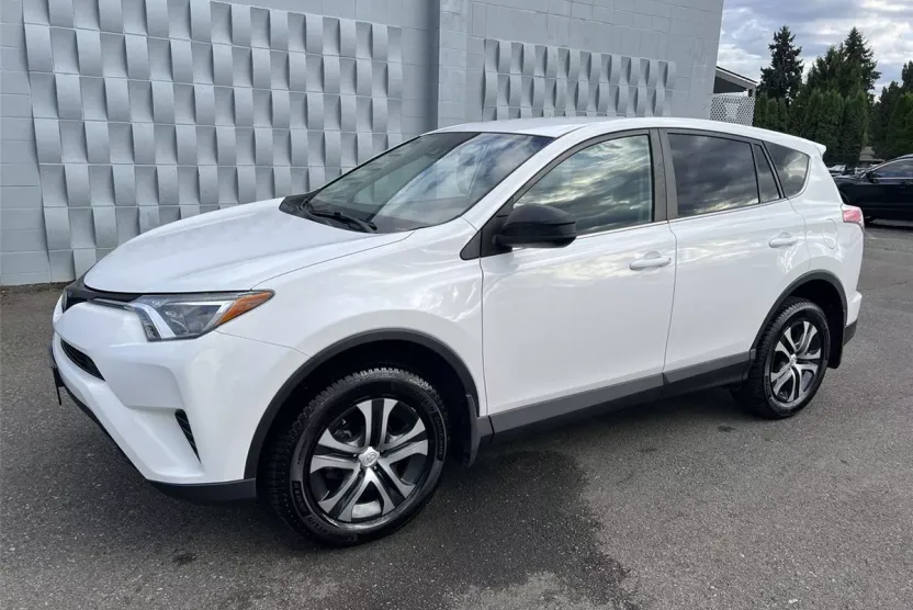 2018 Toyota RAV4 LE photo 1
