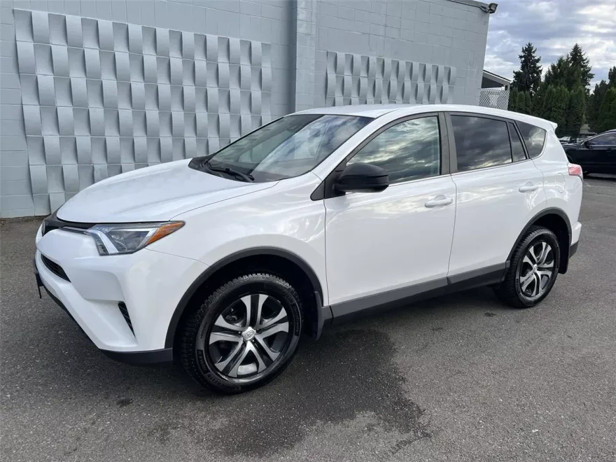 2018 Toyota RAV4 LE photo 1
