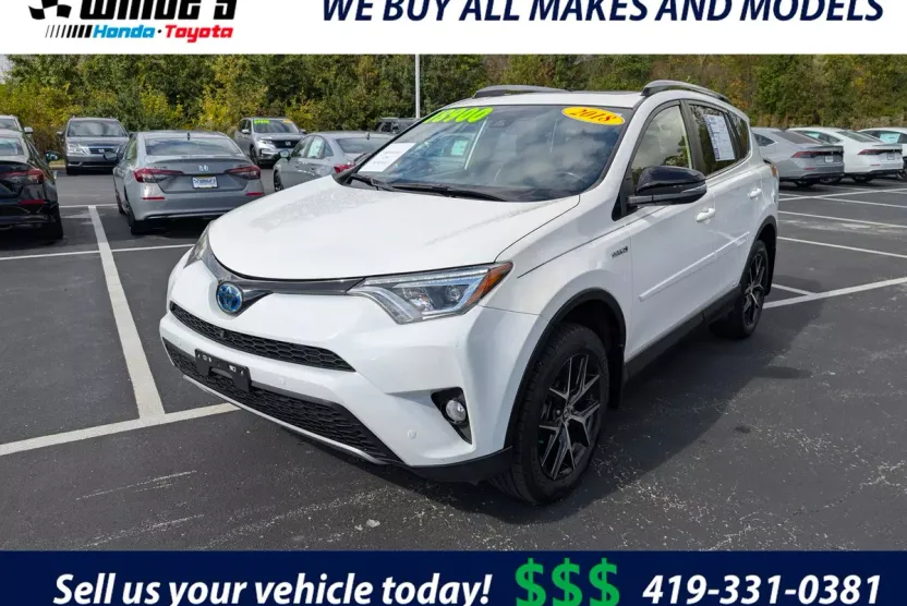 2018 Toyota RAV4 Hybrid SE photo 1