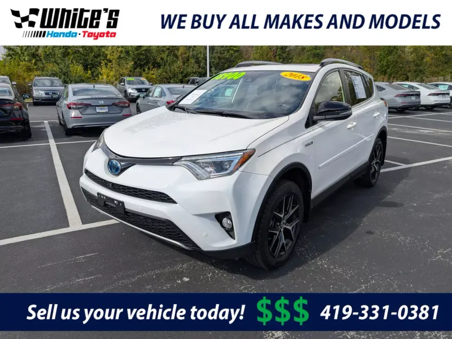 2018 Toyota RAV4 Hybrid SE photo 1