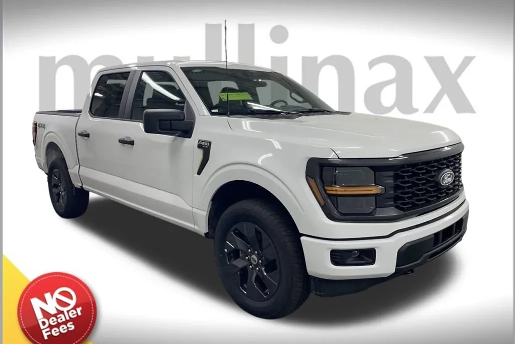 2025 Ford F-150 STX photo 1