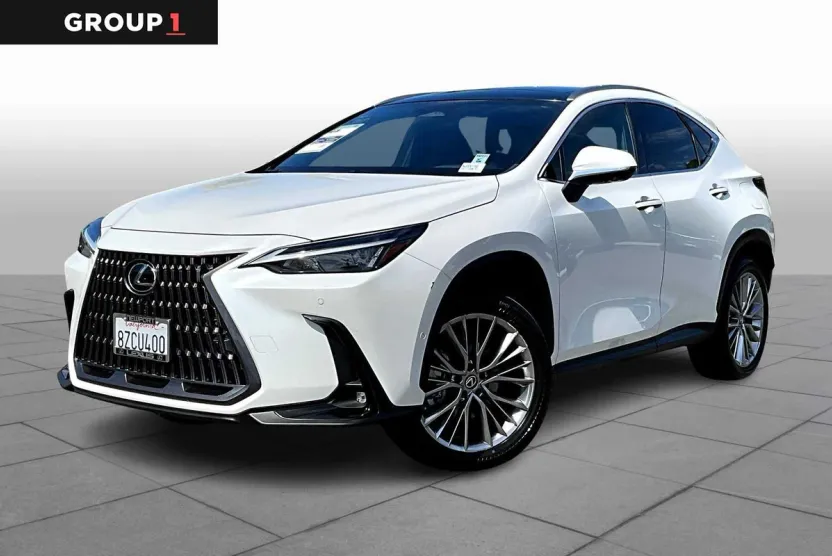 2022 Lexus NX Luxury photo 1