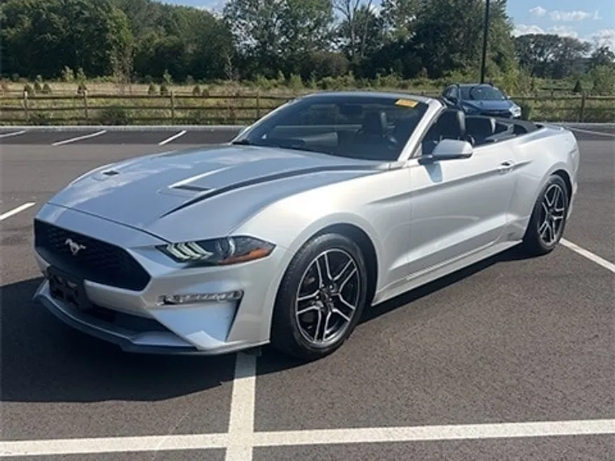 2019 Ford Mustang EcoBoost Premium Convertible photo 1