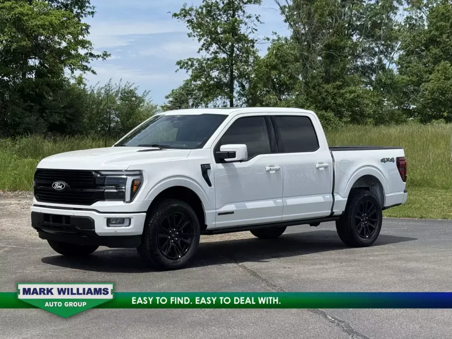 2025 Ford F-150 Platinum photo 1