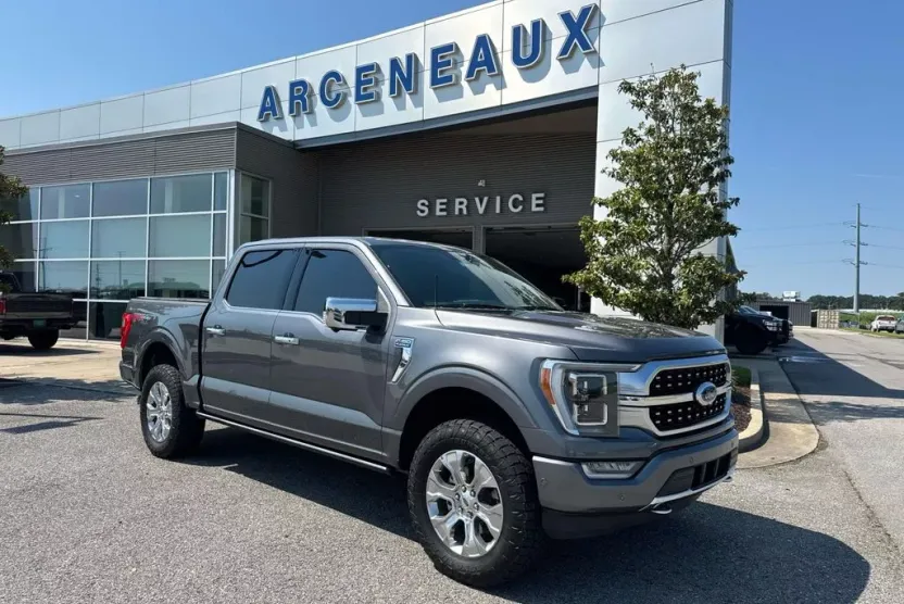 2022 Ford F-150 Platinum photo 1