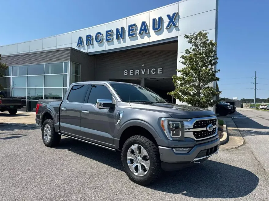 2022 Ford F-150 Platinum photo 1